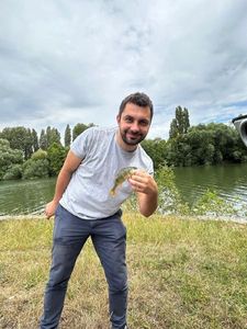 European Perch