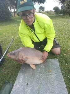 Common Carp
