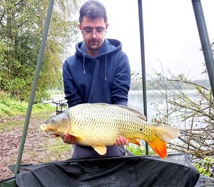 Common Carp