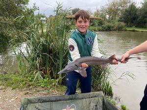 Gulf Sturgeon