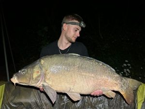Mirror Carp