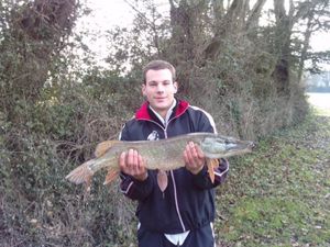 Northern Pike
