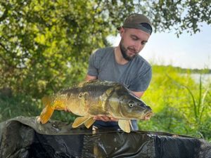 Mirror Carp