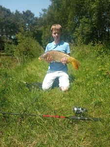 Common Carp