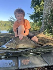 Mirror Carp