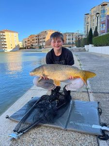 Common Carp