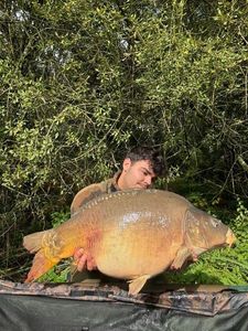 Mirror Carp
