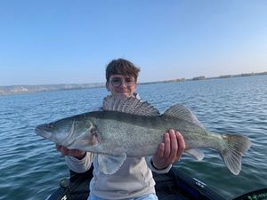 Zander