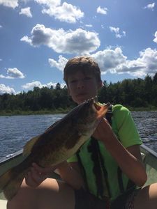 Largemouth Bass