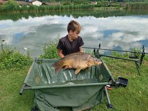 Mirror Carp