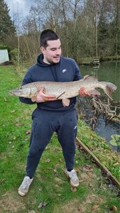 Northern Pike