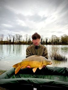 Mirror Carp