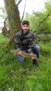 Northern Pike