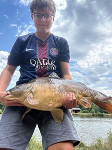 Mirror Carp