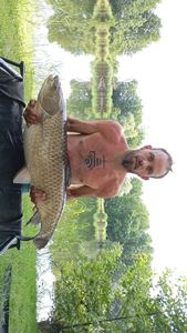Grass Carp