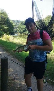Largemouth Bass