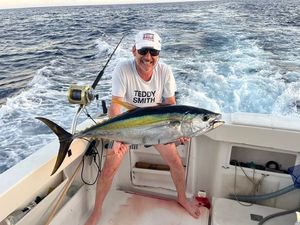 Yellowfin Tuna