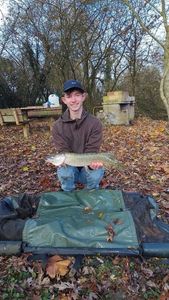 Northern Pike
