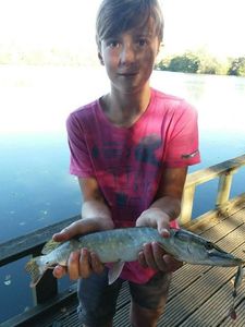 Northern Pike