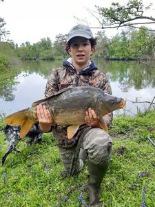 Mirror Carp