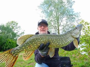 Northern Pike