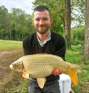 Common Carp