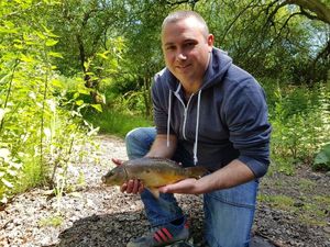 Mirror Carp