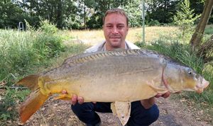 Mirror Carp
