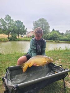 Mirror Carp