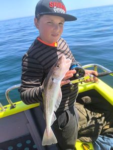 Whiting