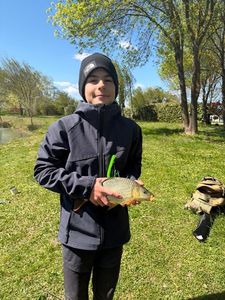 Common Carp