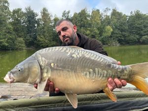 Mirror Carp