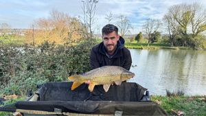 Common Carp