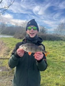 European Perch