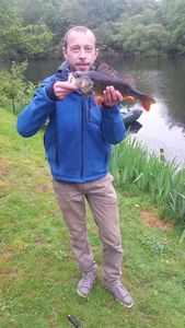 European Perch