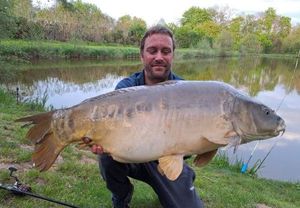 Mirror Carp