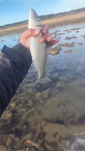Angler's catch photo