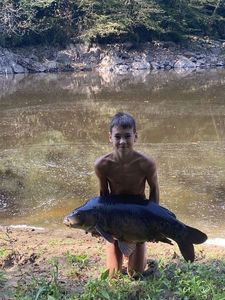 Mirror Carp