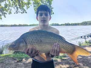 Common Carp