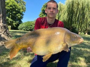 Mirror Carp