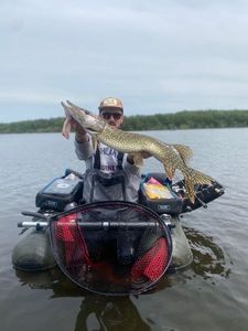 Northern Pike