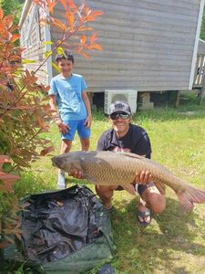 Grass Carp