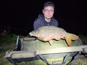 Mirror Carp