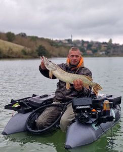 Northern Pike