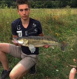 Zander