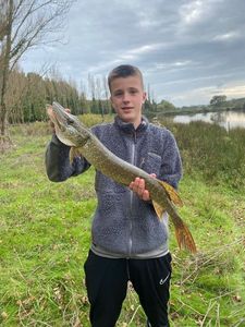 Northern Pike
