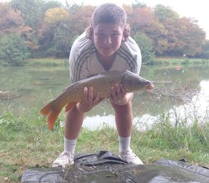 Common Carp