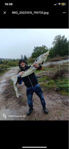 Sturgeon