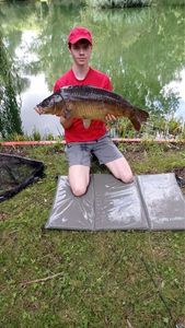 Mirror Carp