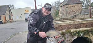 Common Bream